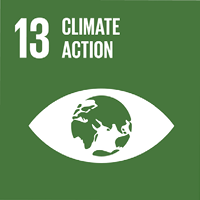logo 13 climate action