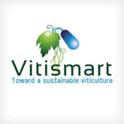 Vitismart logo